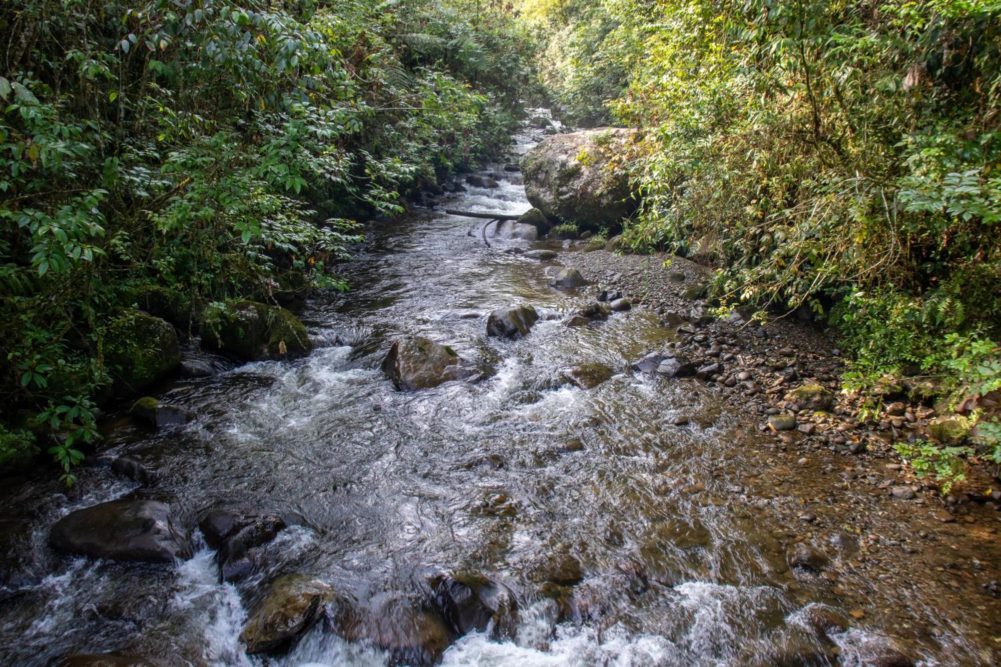 Rural San Remo